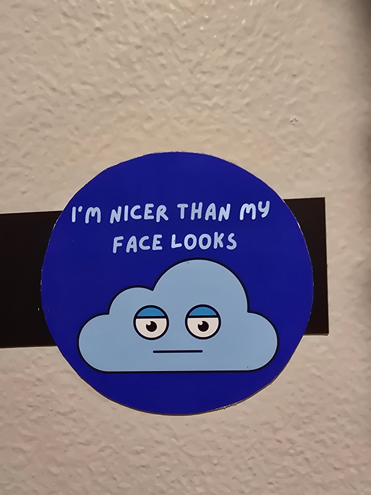 Decorative Magnet- I'm nicer than my face looks