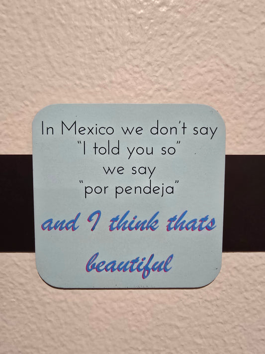 Magnet- In Mexico we dont say "I told you so" we say "por pendeja" and I think its beautiful