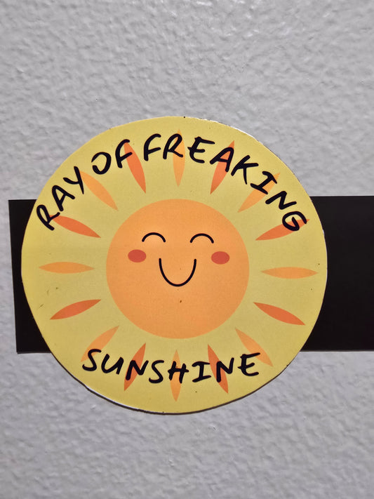 Decorative Magnet- Ray of freaking sunshine