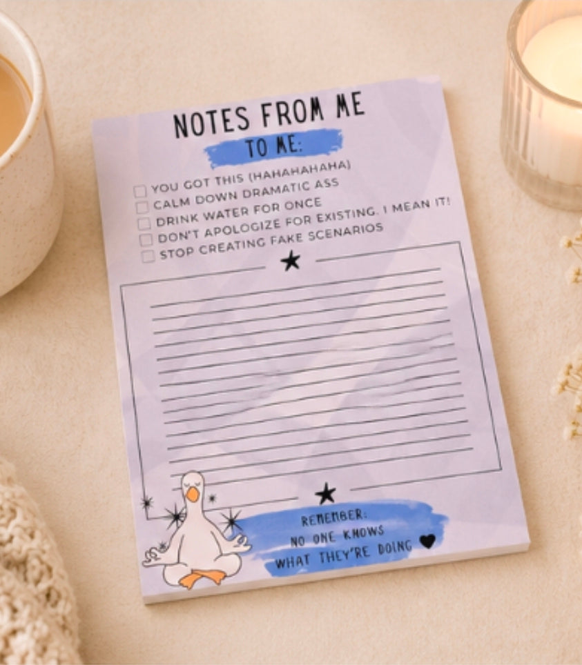 Notes From Me to Me Funny Notepad