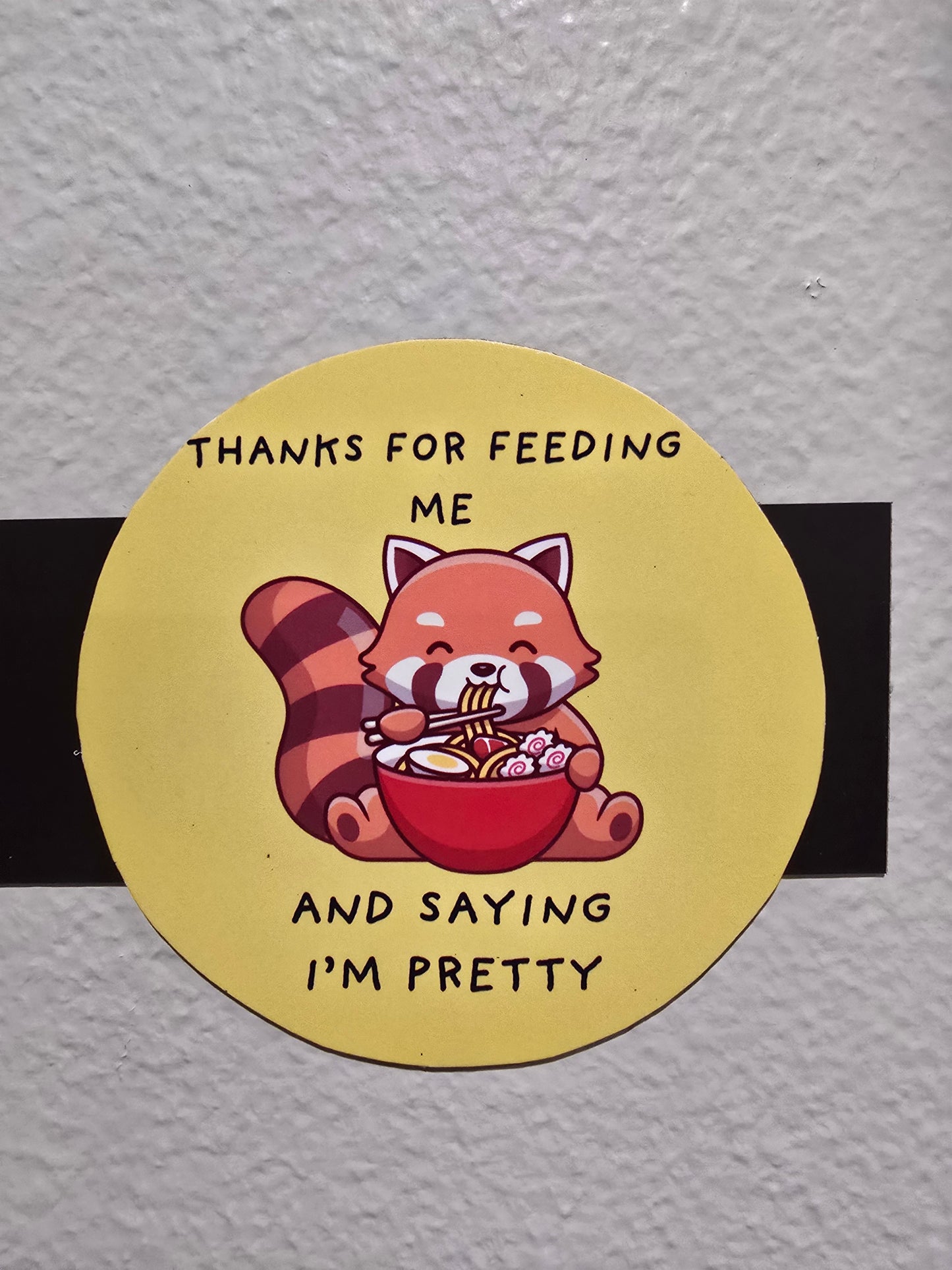 Decorative Magnet-thanks for feeding me and saying I'm pretty