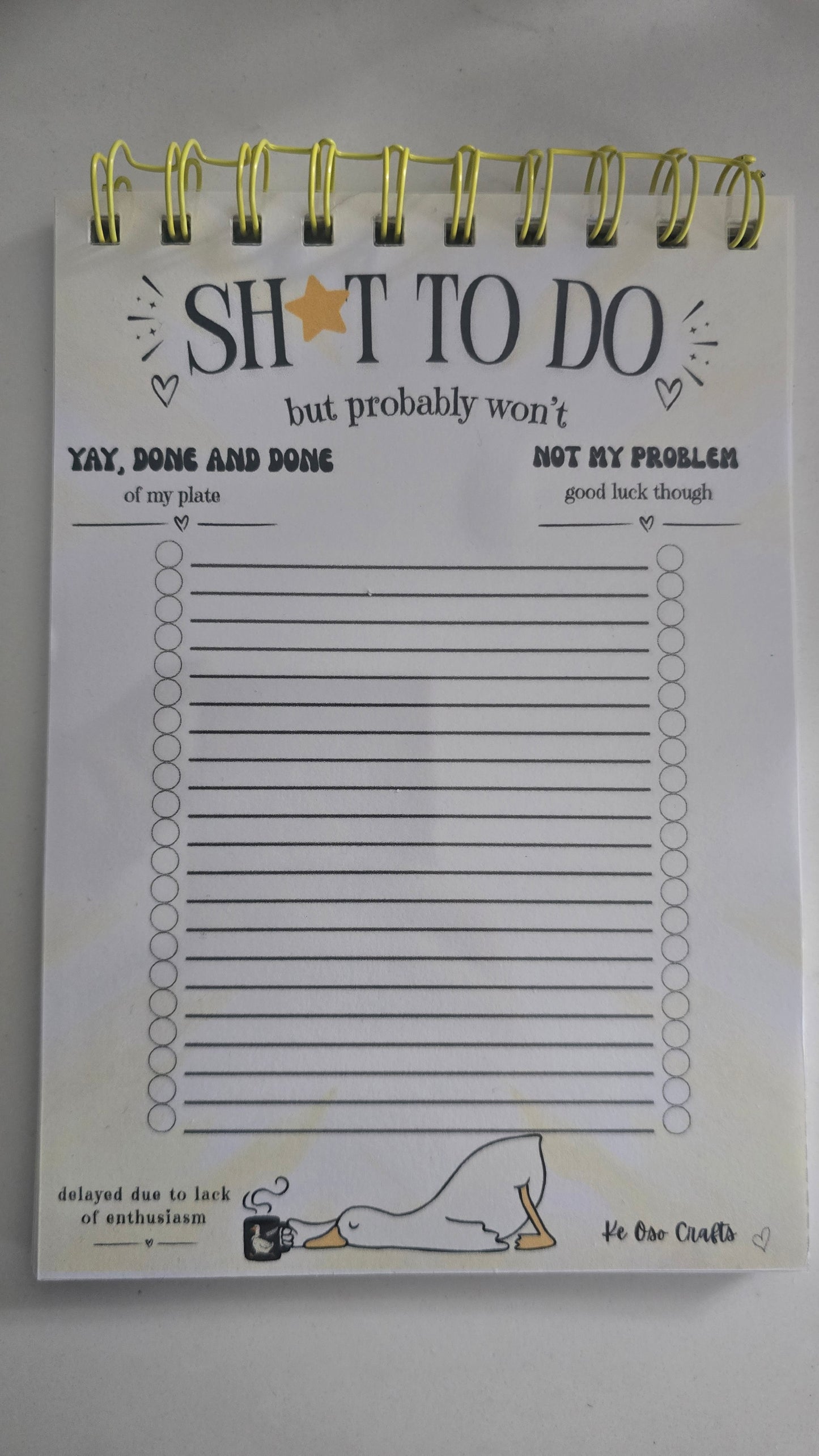 SH*T TO DO (But Probably Won’t) Notepad | Funny To-Do List Pad | Sarcastic Desk Notepad