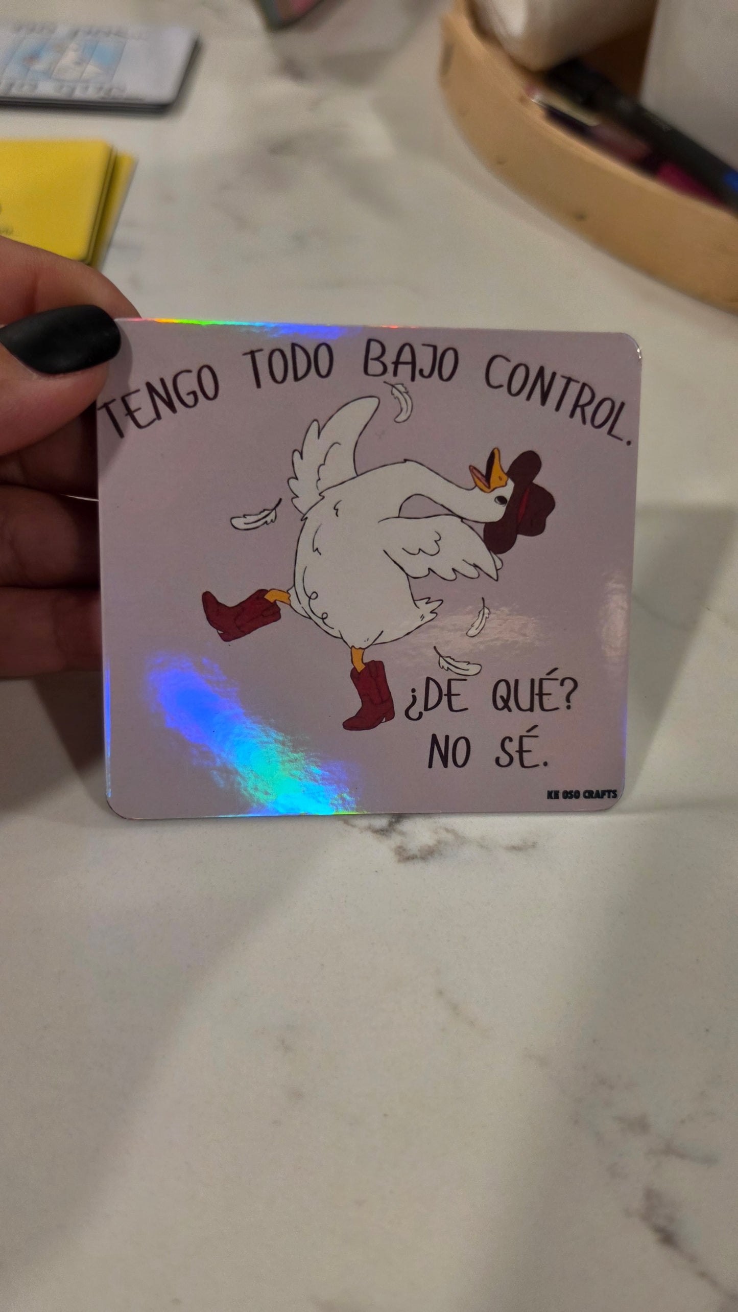Tengo Todo Bajo Control… ¿De Qué? No Sé. 🤠 | Funny Spanish Sticker or Magnet